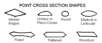 cross_sections.webp