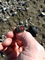 gold ring.webp