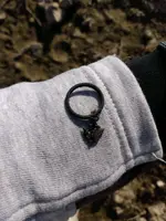 silver ring.webp