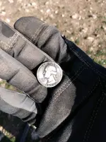 quarter.webp