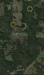 Piratemap7-forested-Area-a1.webp