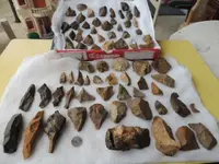 DSCN3992.webp