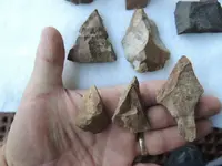 DSCN3709.webp