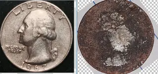 clad quarter.webp