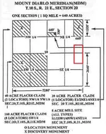 section question.webp