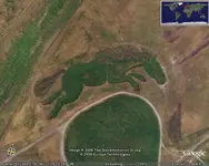gigantic_horse.webp