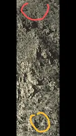 Screenshot_20201230-175823.webp