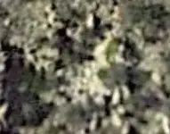 Screenshot_20210101-232742.webp