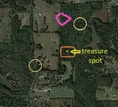 Piratemap7-forested-Area-a1.webp