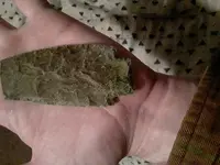20210214_183525.webp