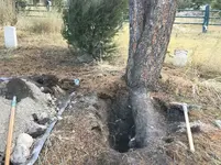 fenncemetery.webp