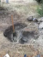 fenncemetery2.webp