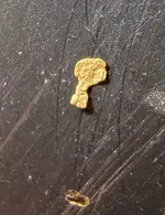gold piece.webp