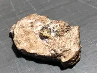 ImageUploadedByTreasureNet.com1615742553.847602.webp