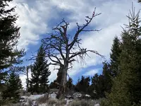 3CA00626-A7CB-4507-9E1F-12C249CE8778.webp