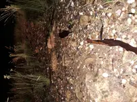 20210321_225939.webp
