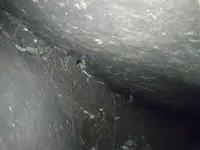 Tunnel.webp