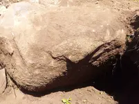 boulder.webp
