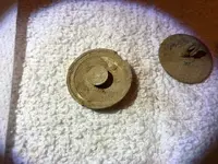 41321button2.webp