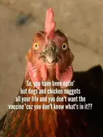 vaccine2.webp