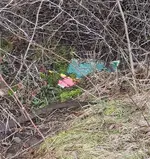 20210402_110316.webp