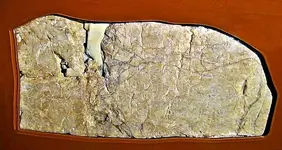 ShiloahInscriptionS.webp