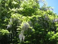 IMG_3776.webp