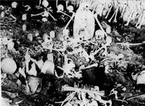 Skeleton Cave before Burial.webp