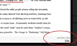 thisonepurchase.webp