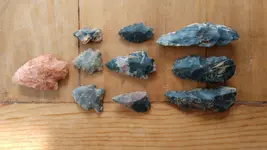 IMG_20210428_173459285.webp