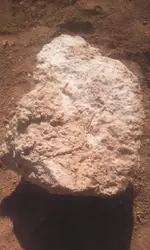 cement.webp