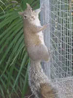 20210304_170728.webp