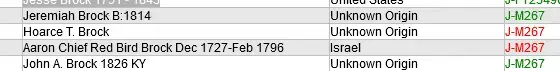 Screenshot_2021-03-15 FamilyTreeDNA - Brock DNA Project(1).webp