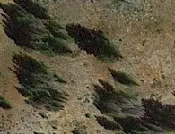 Espiritu Santo mina.webp
