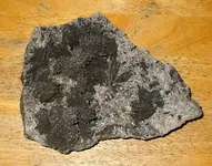 DSCF9539.webp