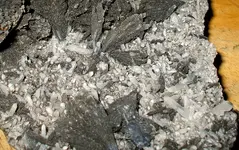 DSCF9540-2.webp