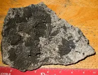 DSCF9544.webp