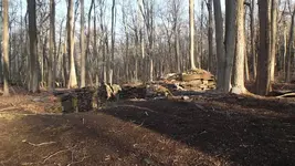 DSCF0289.webp