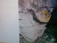 Reversed face.webp
