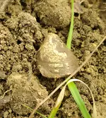 20210428_163014.webp