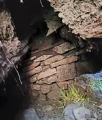 20210414_104018.webp