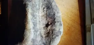 20210428_214337.webp