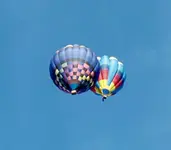 20210529_070124.webp