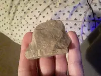20210316_004048.webp