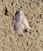 20210529_145445.webp