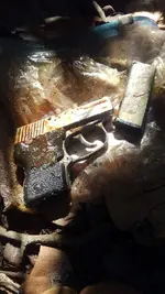 Handgun-Extracted2.webp