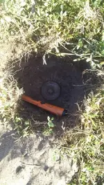 MetalDomeWCarrotForScale1.webp