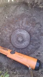 MetalDomeWCarrotForScale2Close.webp