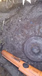 MetalDomeWCarrotForScale5Close.webp