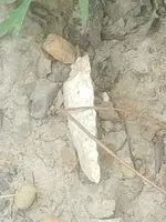 20210519_142048.webp